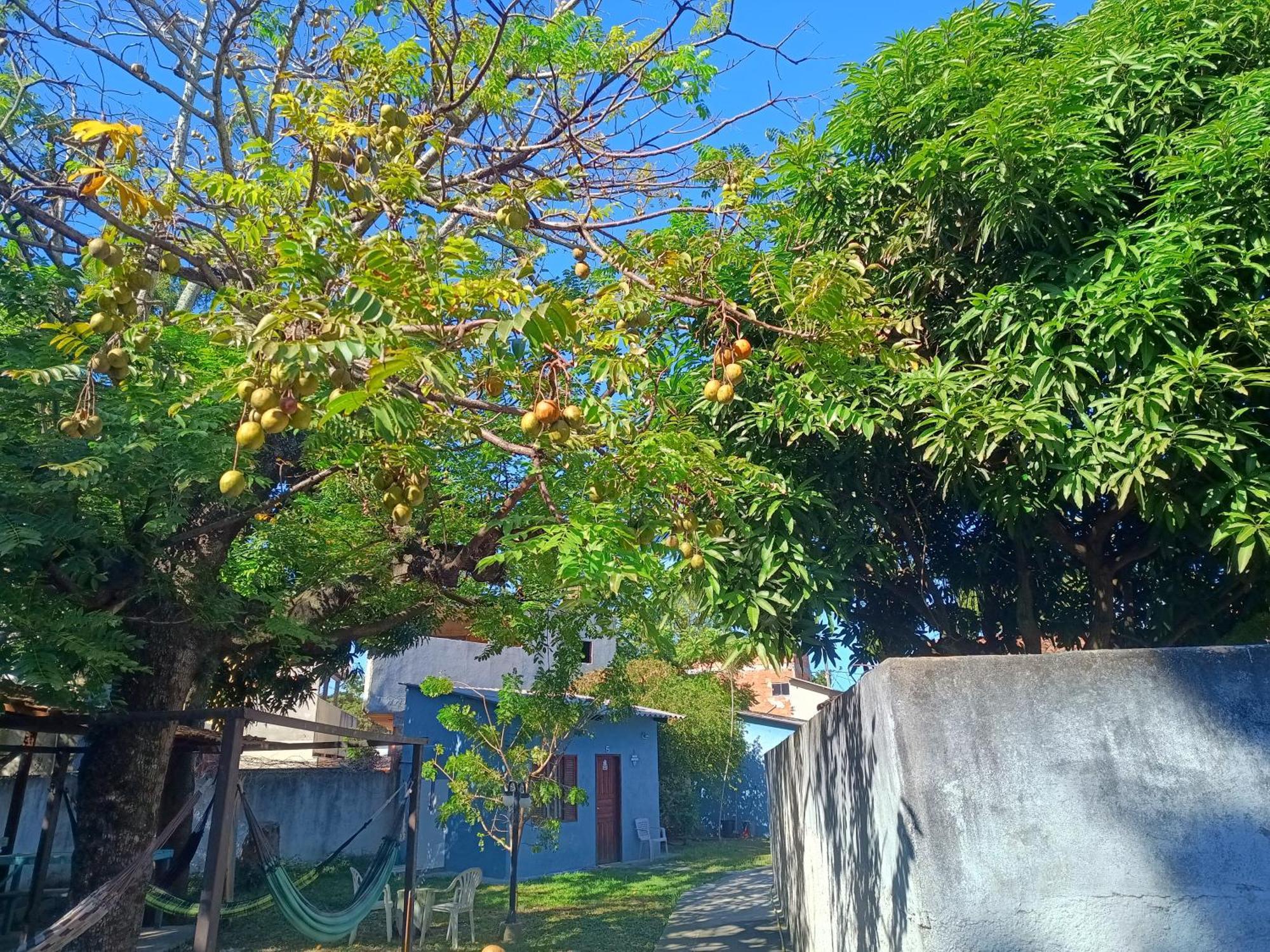 Casais Na Praca Oswaldo Cruz *